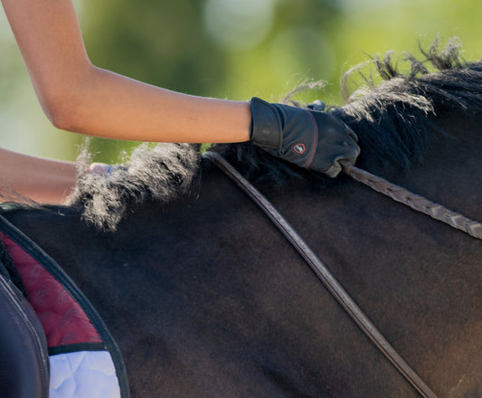 How to Choose Horse Riding Gloves