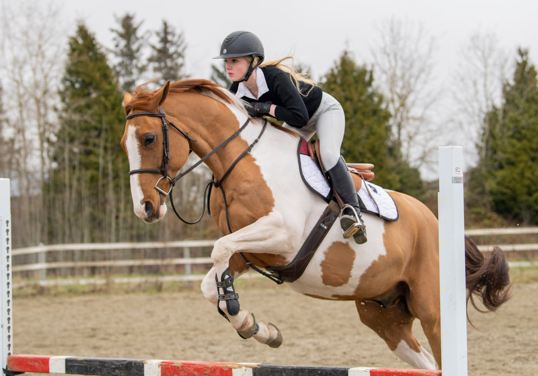 Show Jumping and Eventing Gloves: What to Look For