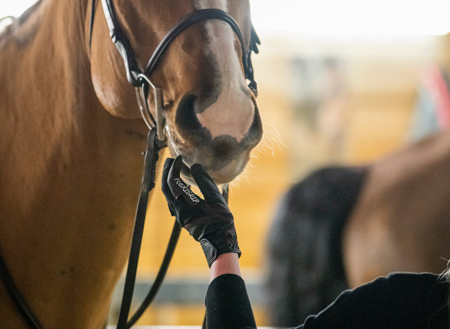 Farris Equestrian - Premium  Riding Gloves for Women and Men