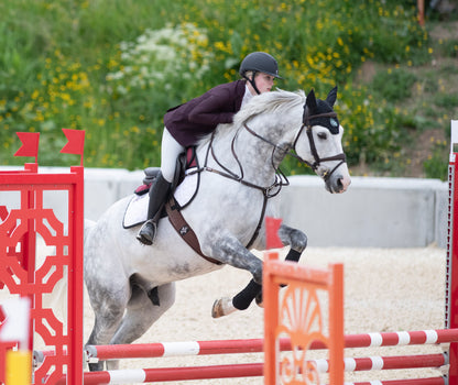 Farris Equestrian - Premium  Riding Gloves for Women and Men